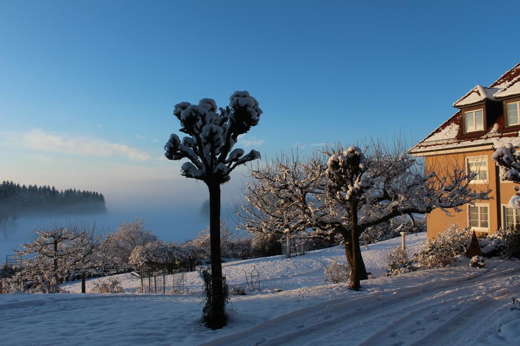Gaestehaus Schloss Kronburg Luaran gambar